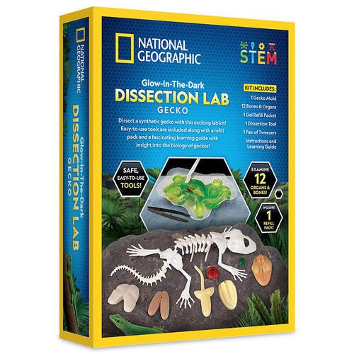 Nat Geo Glow-In-The-Dark Gecko Dissection Lab