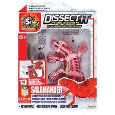 Slimy Dissect It In Giftbox - Salamander