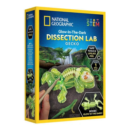 Nat Geo Glow-In-The-Dark Gecko Dissection Lab