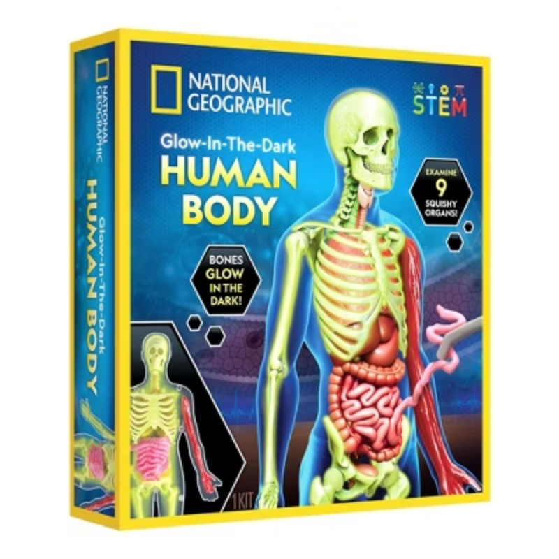 Nat Geo Glow-In-The-Dark Human Body