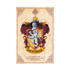 Harry Potter Abyss: Harry Potter Gryffindor Poster (91.5x61)