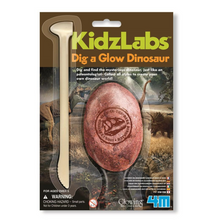 4M Kids Labz / Dig A Glow Dinosaur (6 قطع متنوعة)