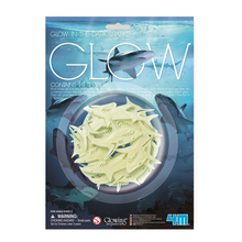 بطاقة 4M / سمكة قرش متوهجة في الظلام