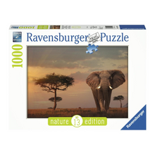 فيل رافينسبرجر من ماساي مارا - 1000 قطعة