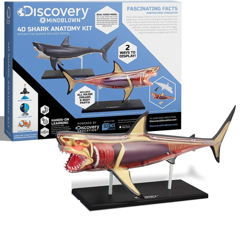 Discovery Mindblown - Anatomy 4D Shark